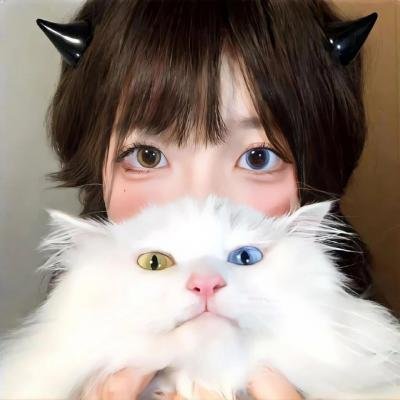 血色战报